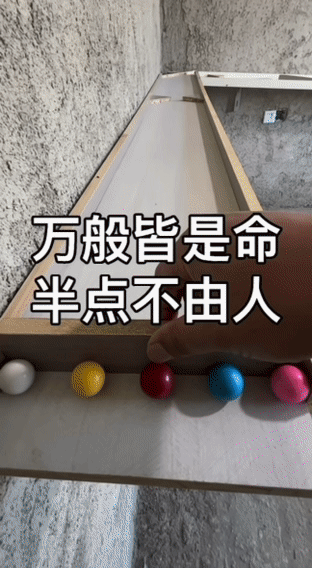 开云体育下载APP-看到郑钦文落泪，我忍不住站出来说几句话