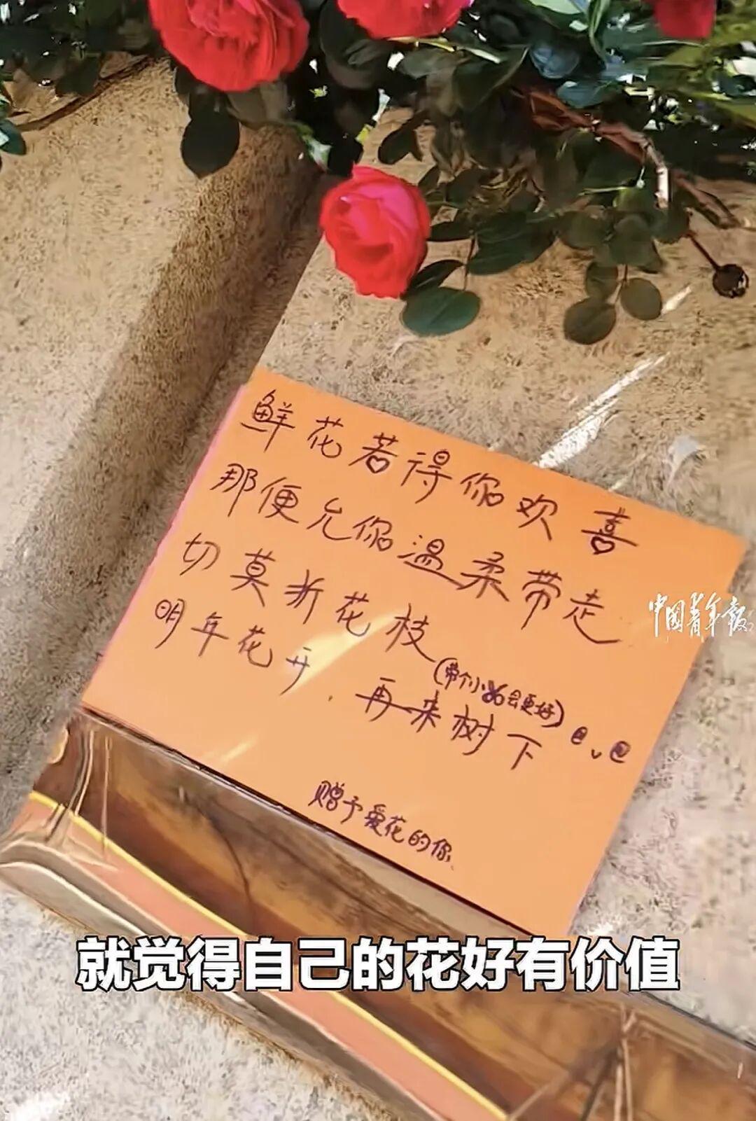 开云体育下载APP-看到郑钦文落泪，我忍不住站出来说几句话